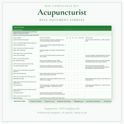 Acupuncturist — MTD Compliance Kit — Premium, Excel workbook sample pages