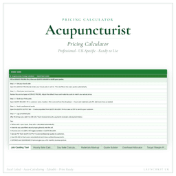 Acupuncturist — Pricing Calculator — Premium, Excel workbook product preview