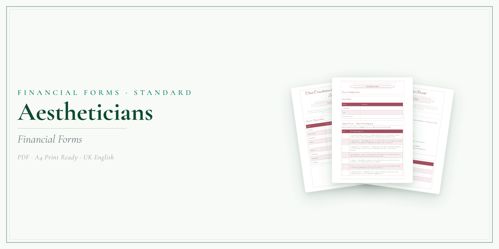 Aestheticians — Financial Forms Bundle — Standard, PDF with fillable header product overview
