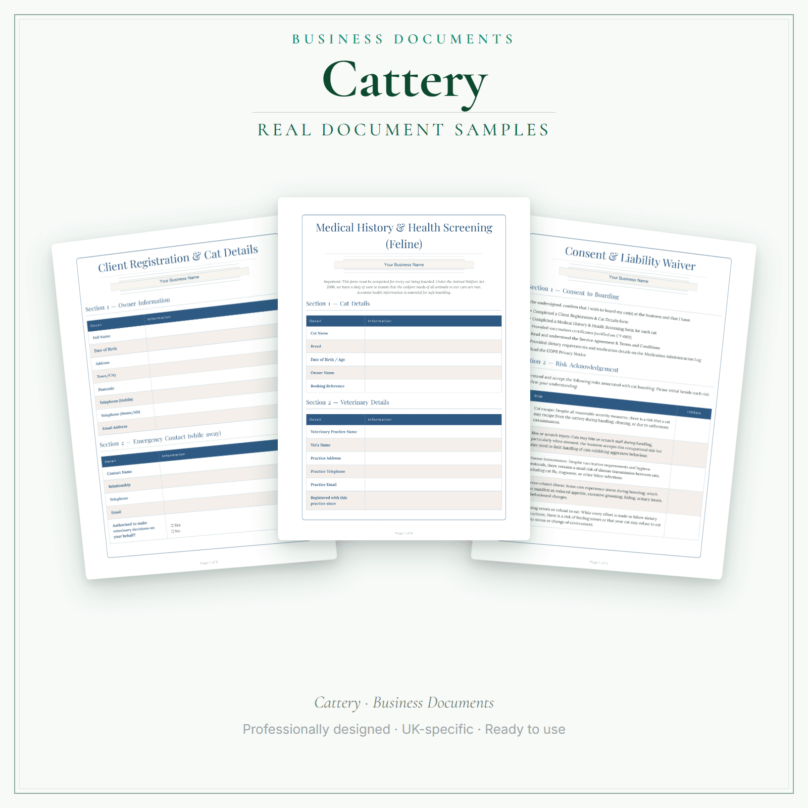 Business Documents — Premium — sample document pages