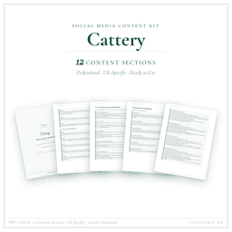 Social Media Content Kit — Product card