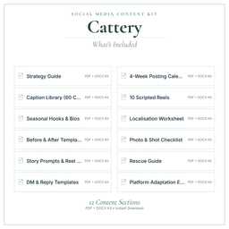 Social Media Content Kit — What's included