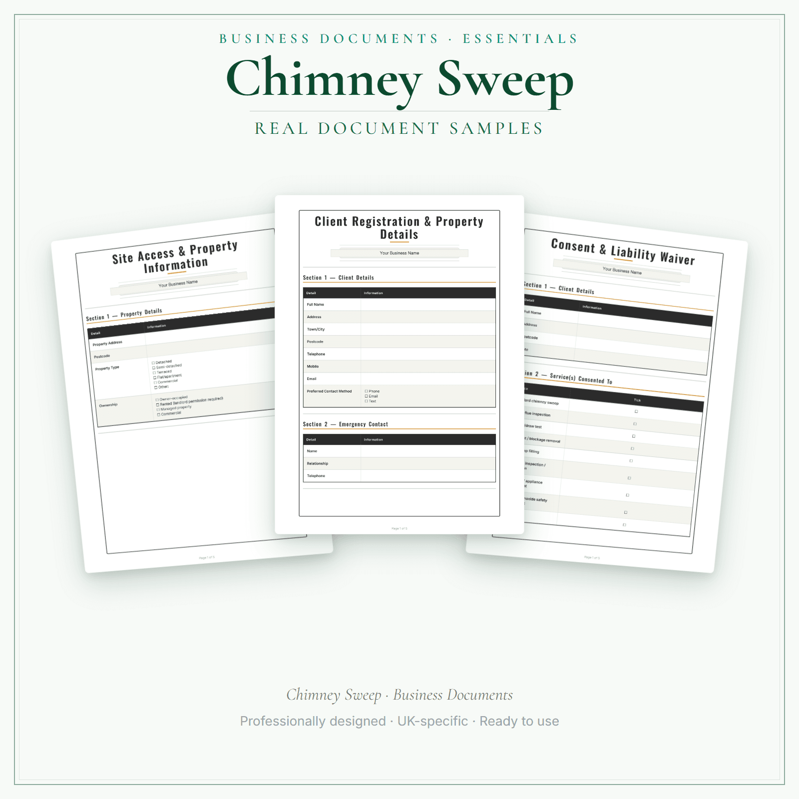 Business Documents — Essential — sample document pages