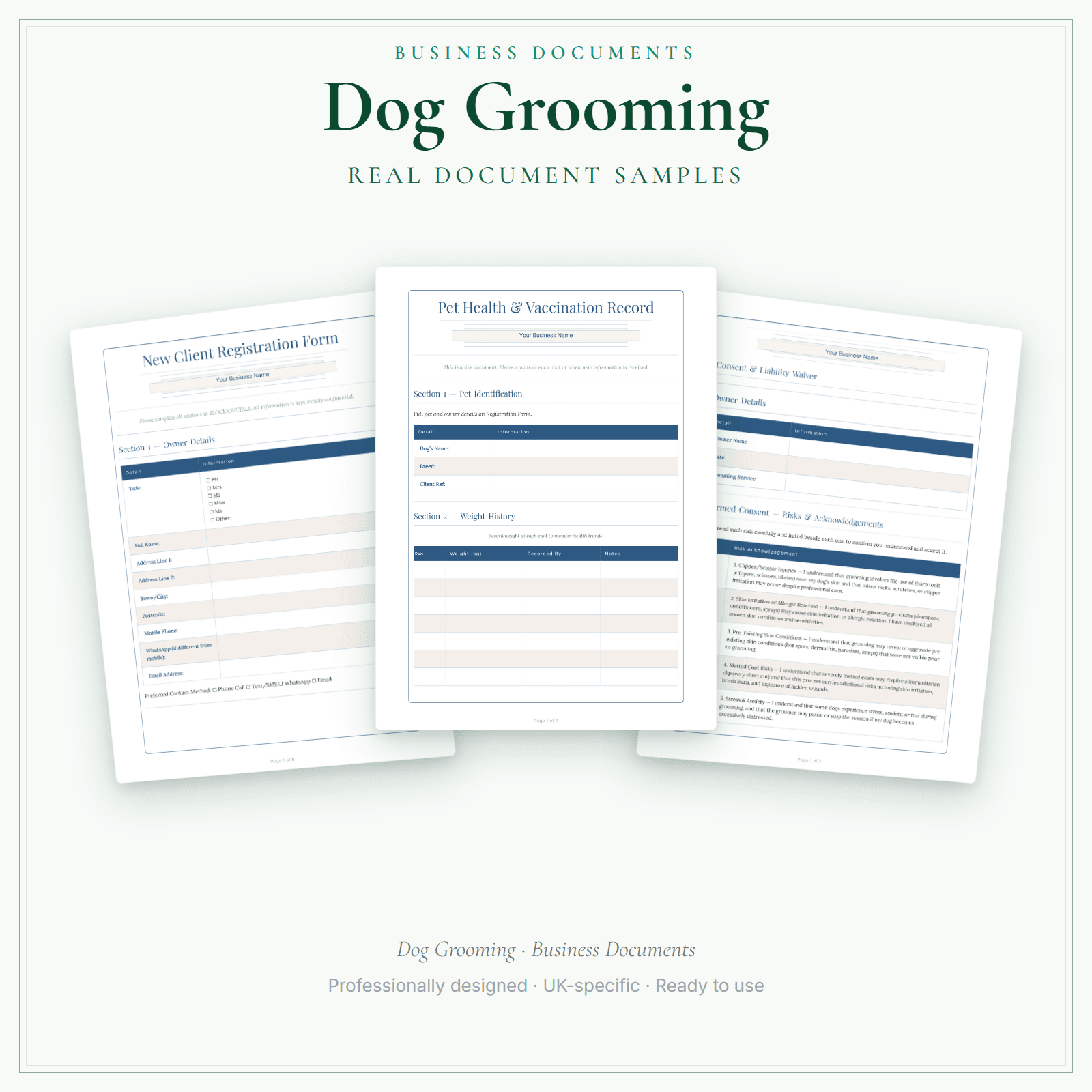 Business Documents — Premium — sample document pages