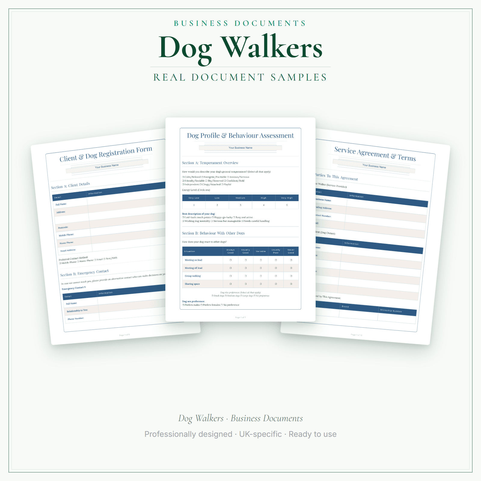 Business Documents — Standard — sample document pages