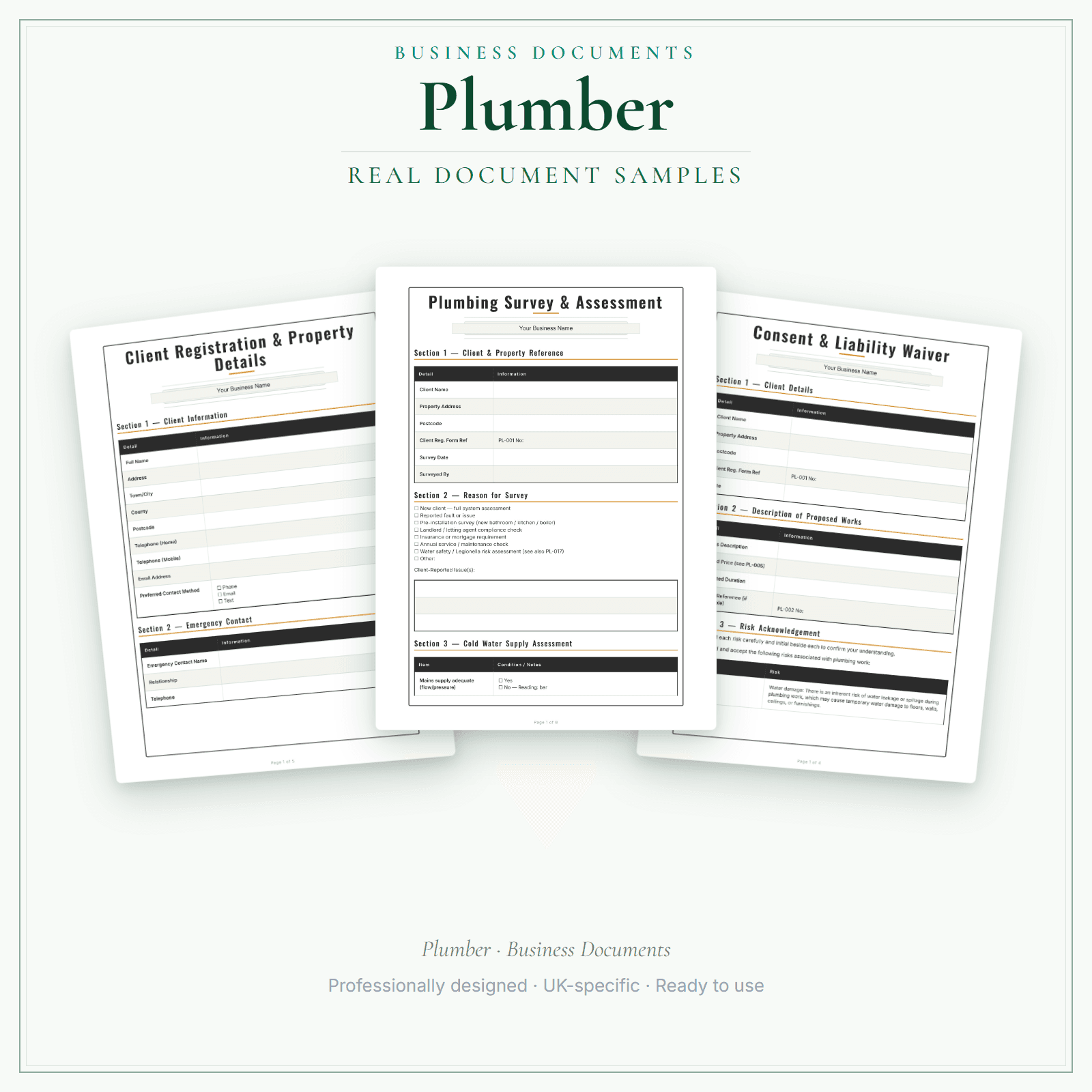 Business Documents — Standard — sample document pages