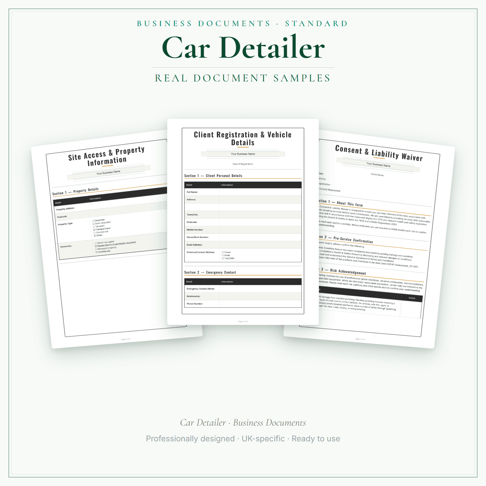 Car Detailer — Business Documents — Standard sample pages preview