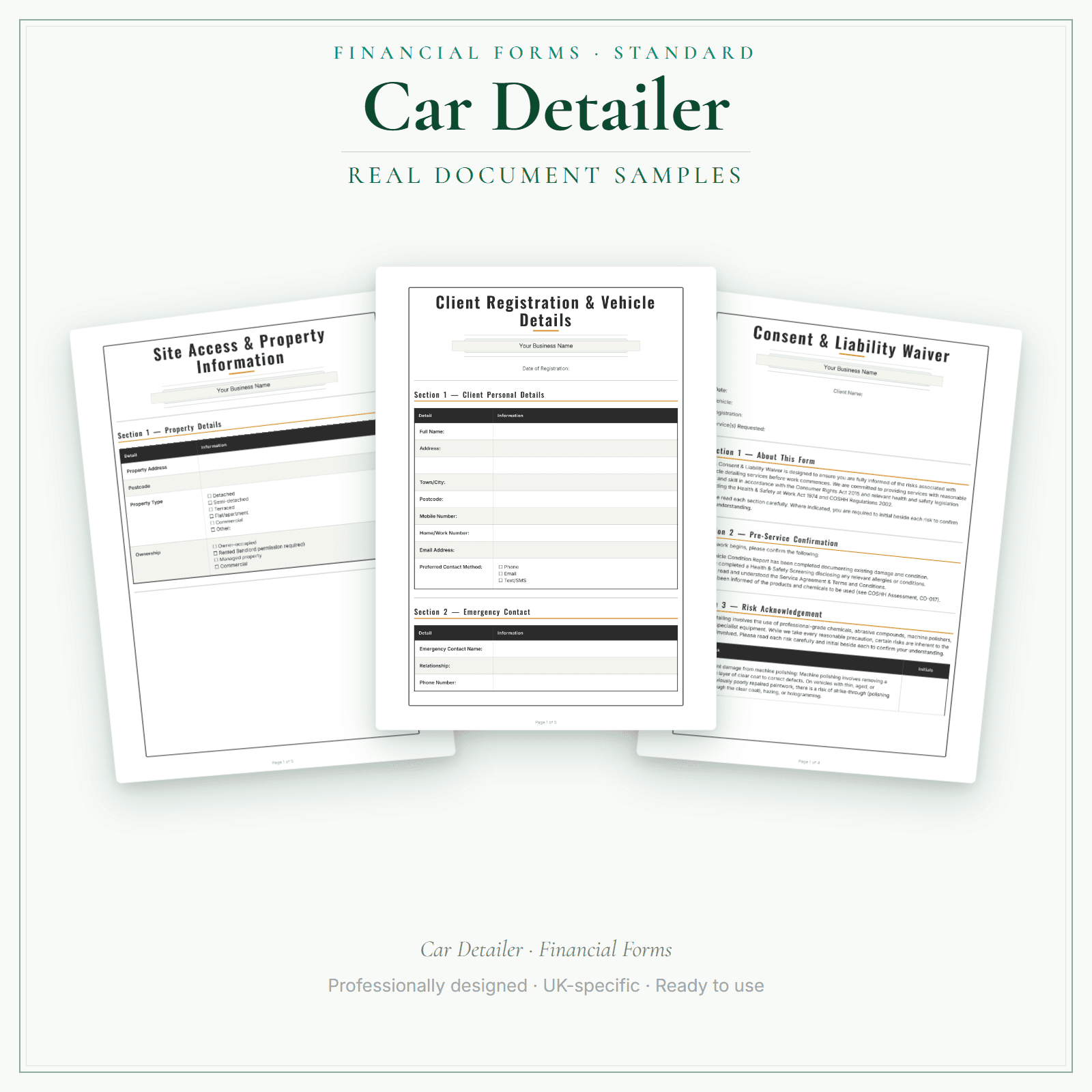 Car Detailer — Financial Forms Bundle — Standard sample pages preview