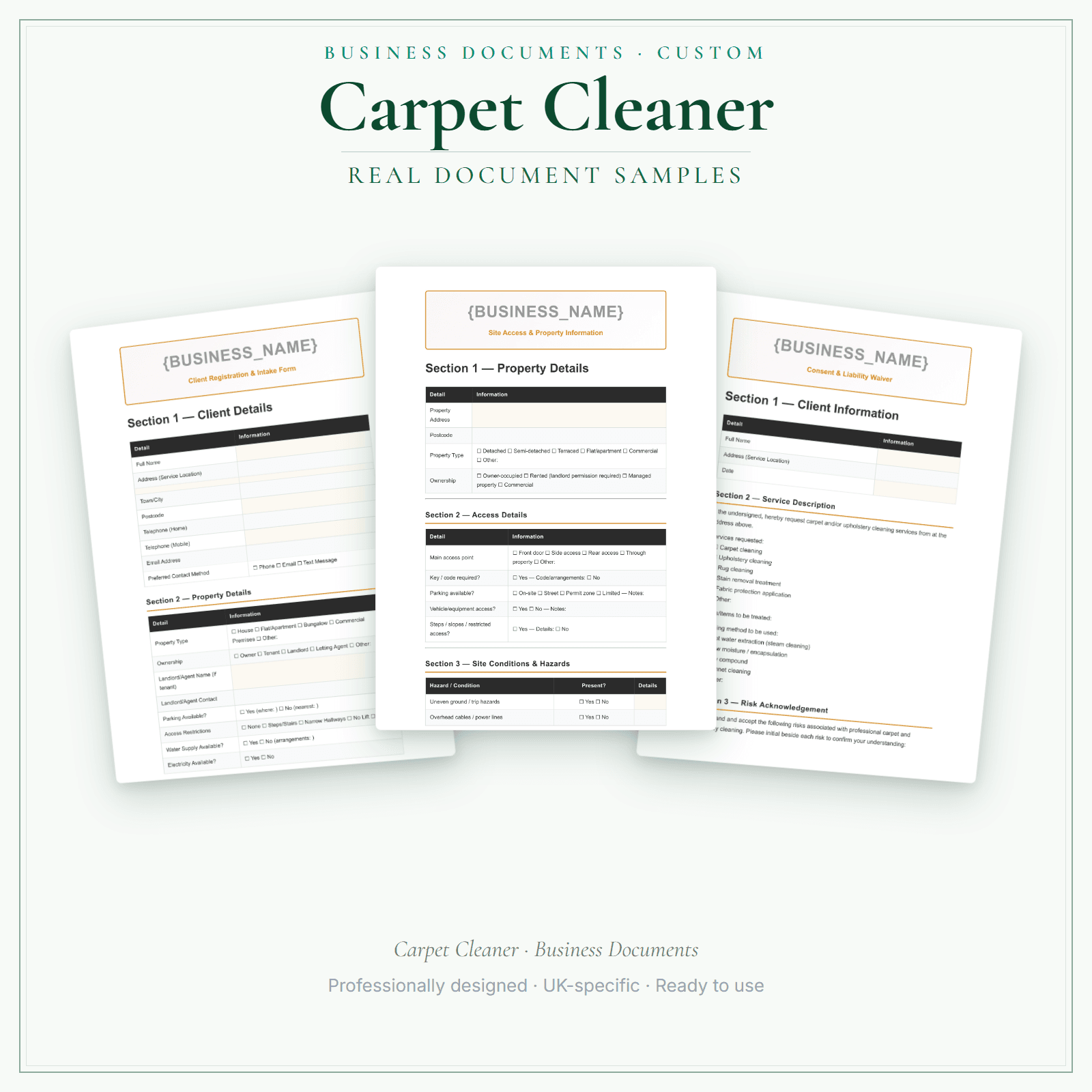 Carpet Cleaner — Business Documents — Customisable sample pages preview