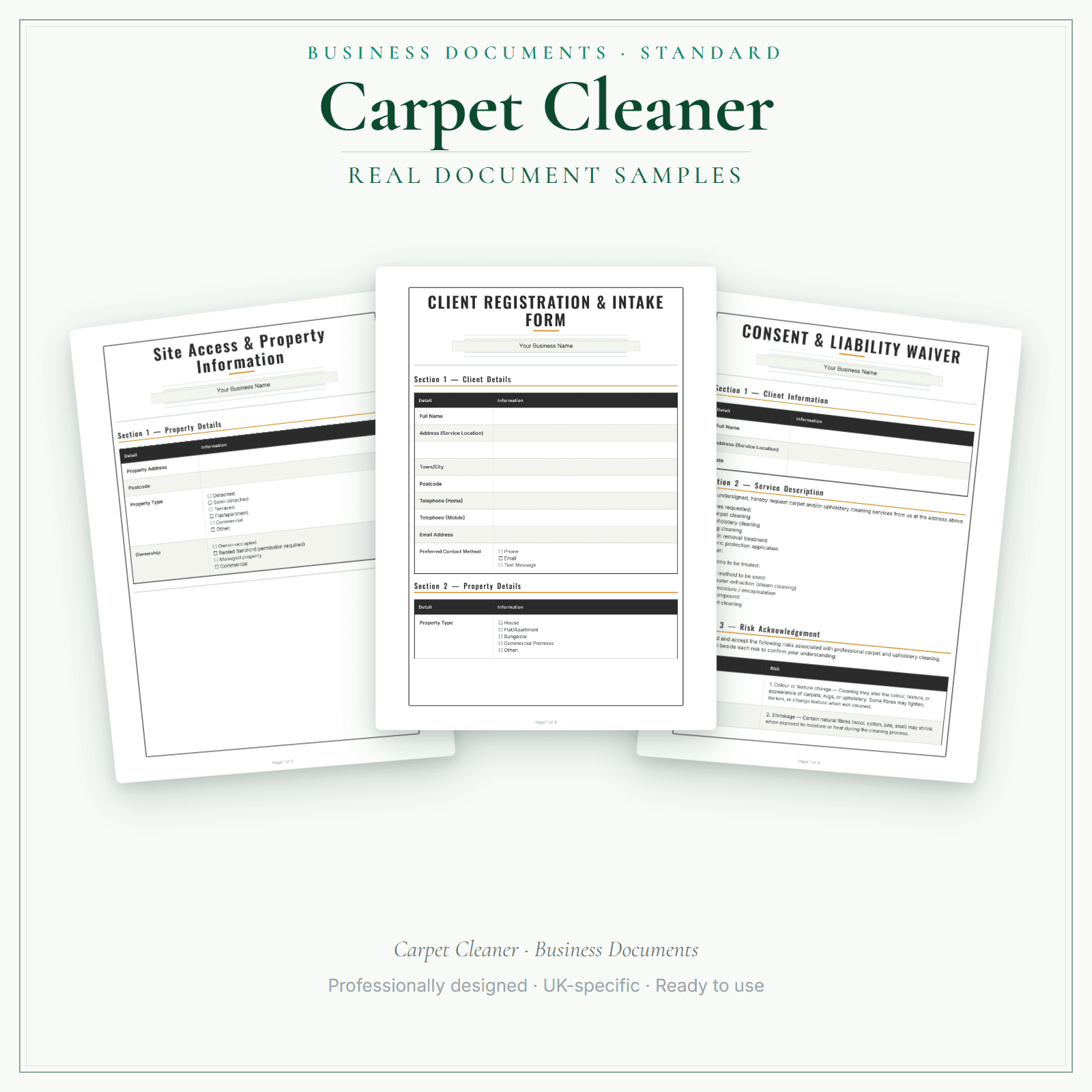 Carpet Cleaner — Business Documents — Standard sample pages preview