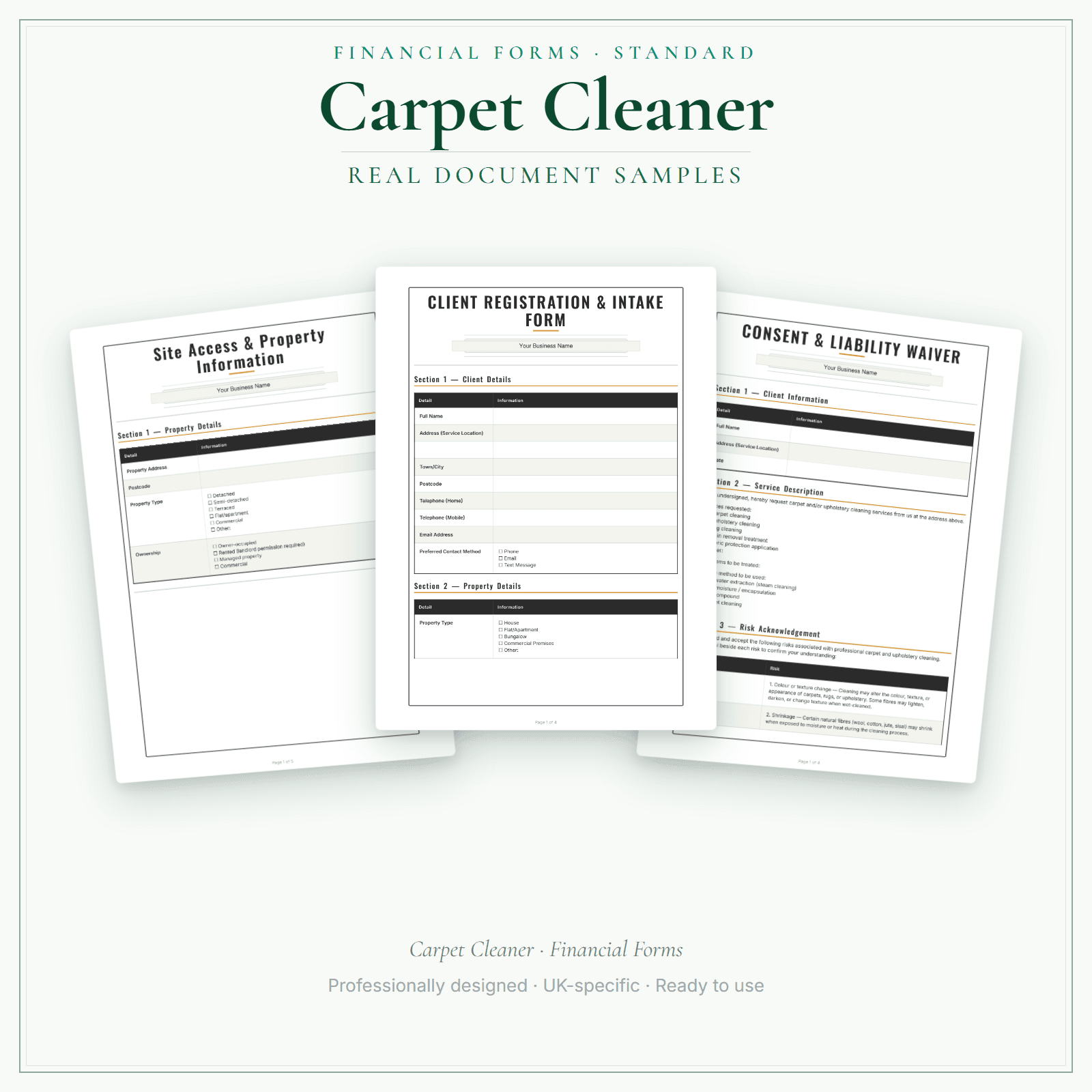 Carpet Cleaner — Financial Forms Bundle — Standard sample pages preview