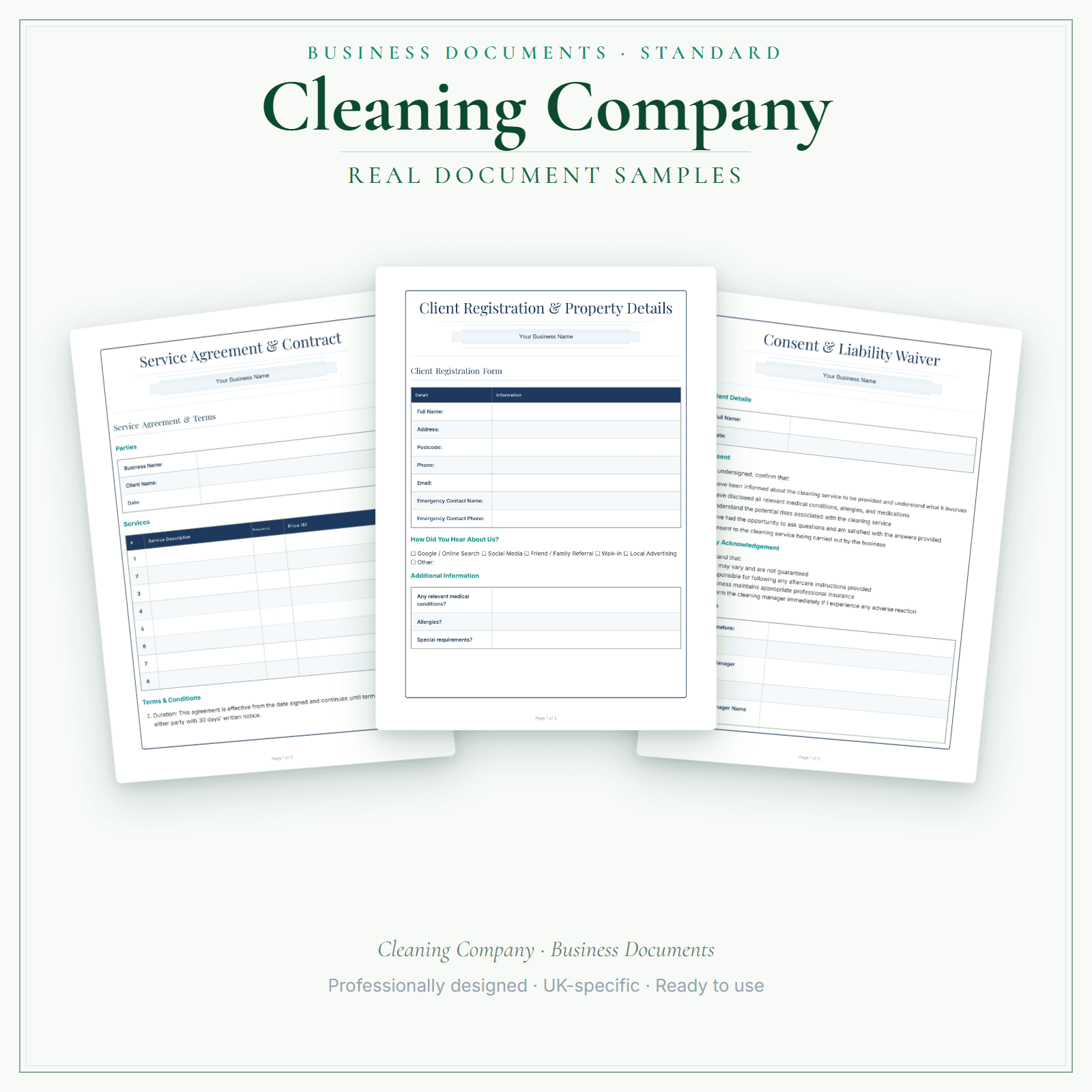 Cleaning Company — Business Documents — Standard sample pages preview
