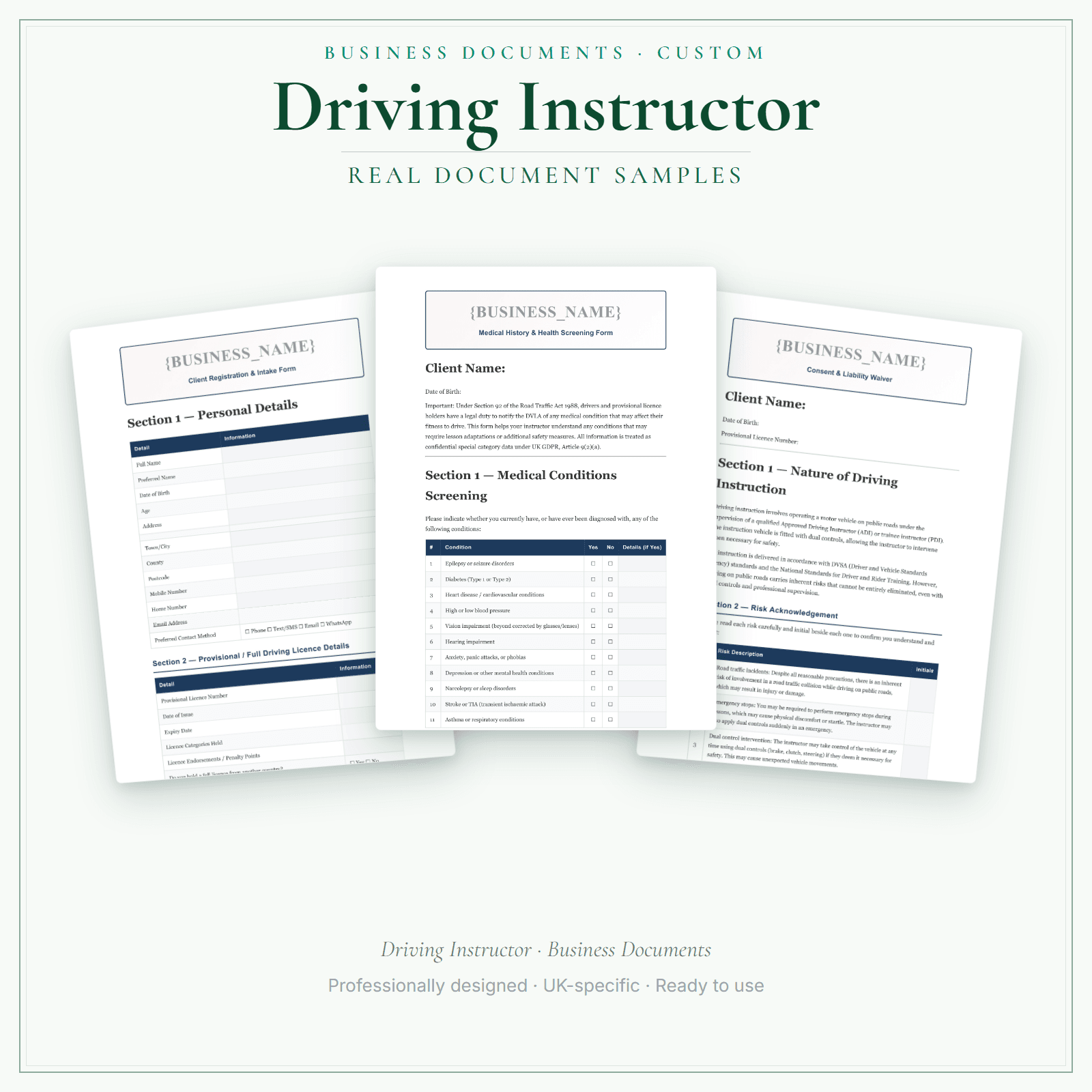 Driving Instructor — Business Documents — Customisable sample pages preview