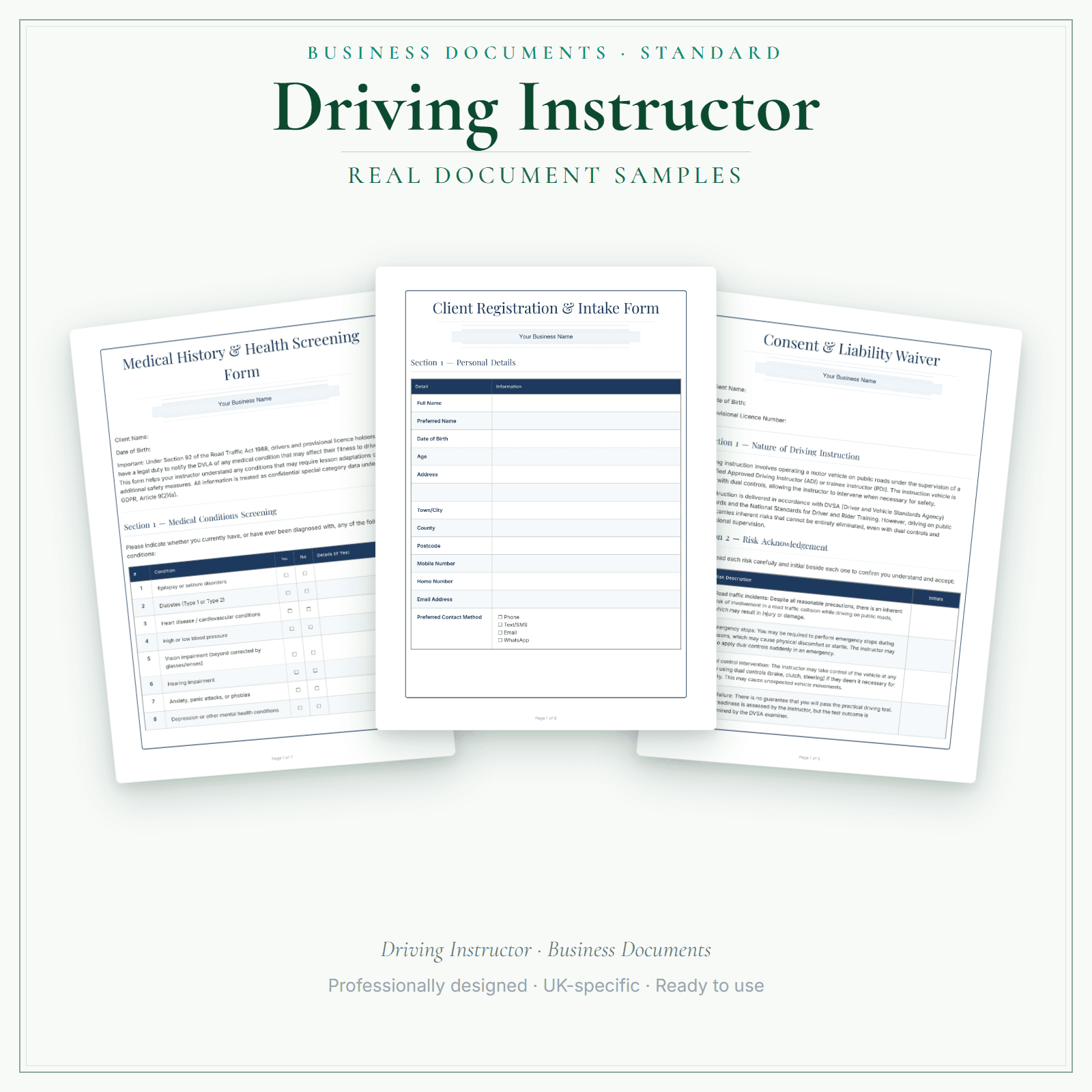 Driving Instructor — Business Documents — Standard sample pages preview