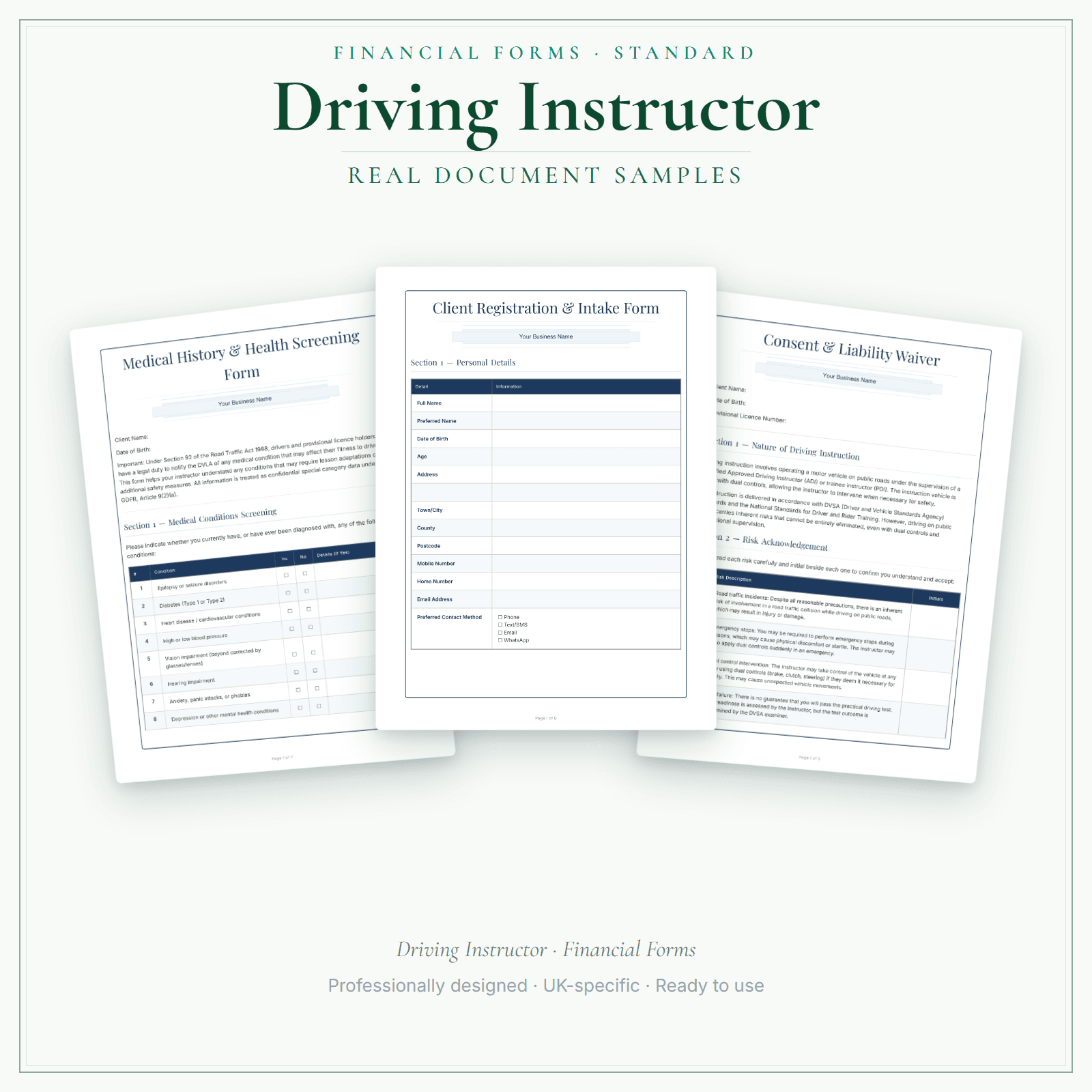 Driving Instructor — Financial Forms Bundle — Standard sample pages preview