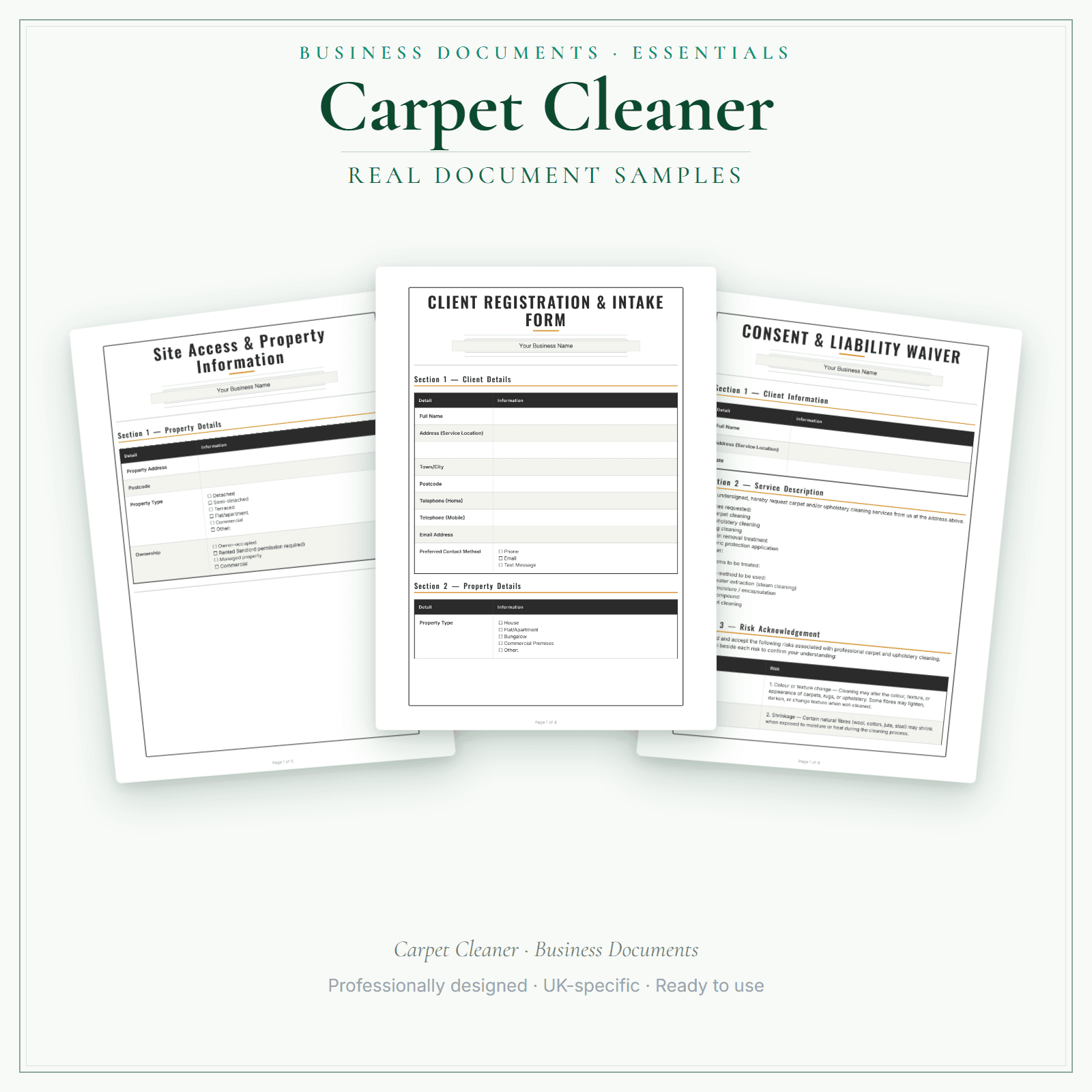 Carpet Cleaner — Business Documents — Essential sample pages preview
