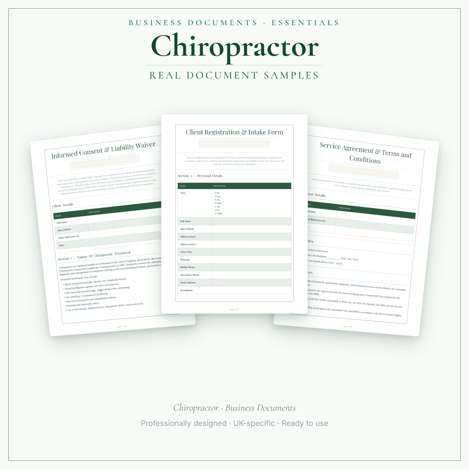 Chiropractor — Business Documents — Essential sample pages preview