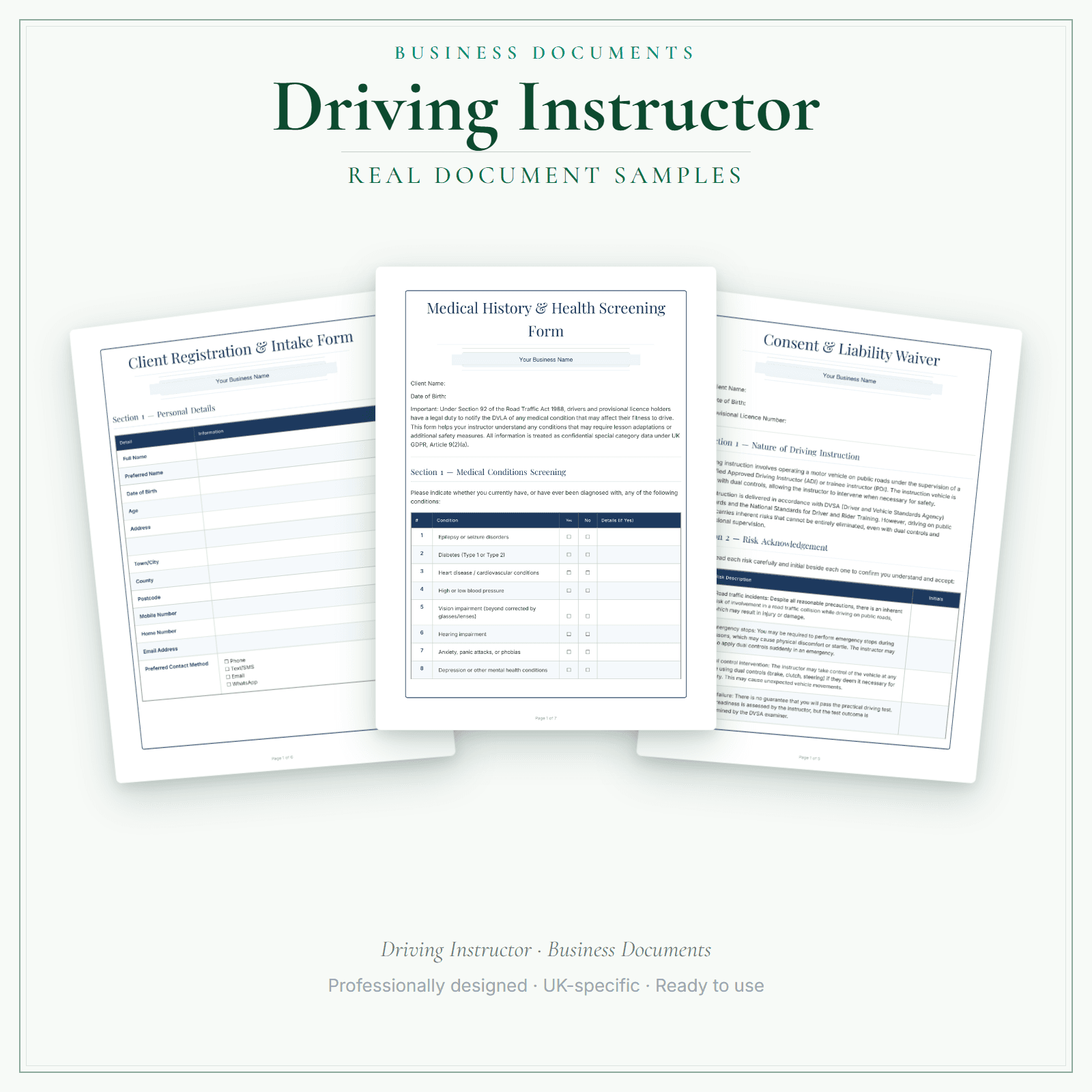 Driving Instructor — Business Documents — Premium sample pages preview
