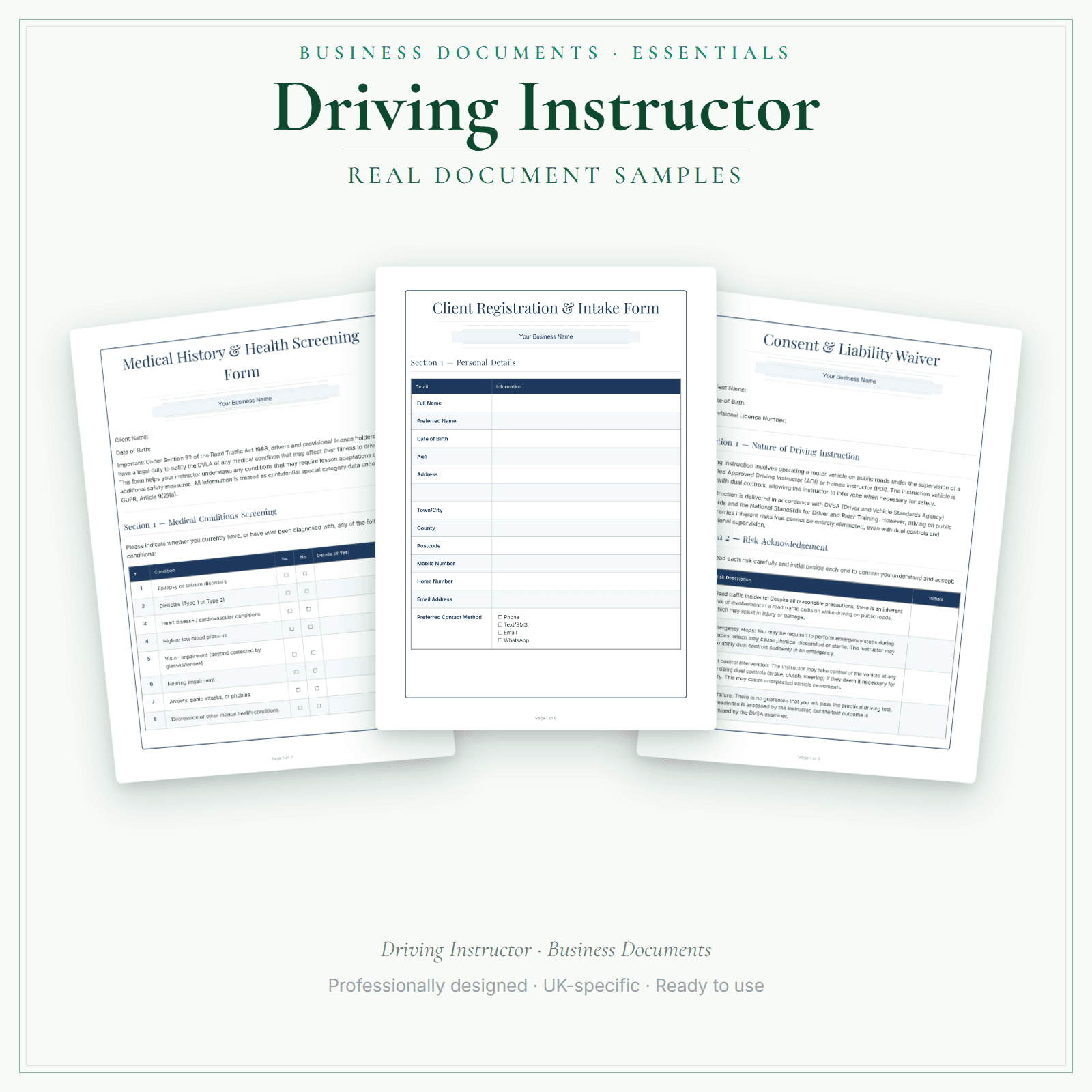 Driving Instructor — Business Documents — Essential sample pages preview