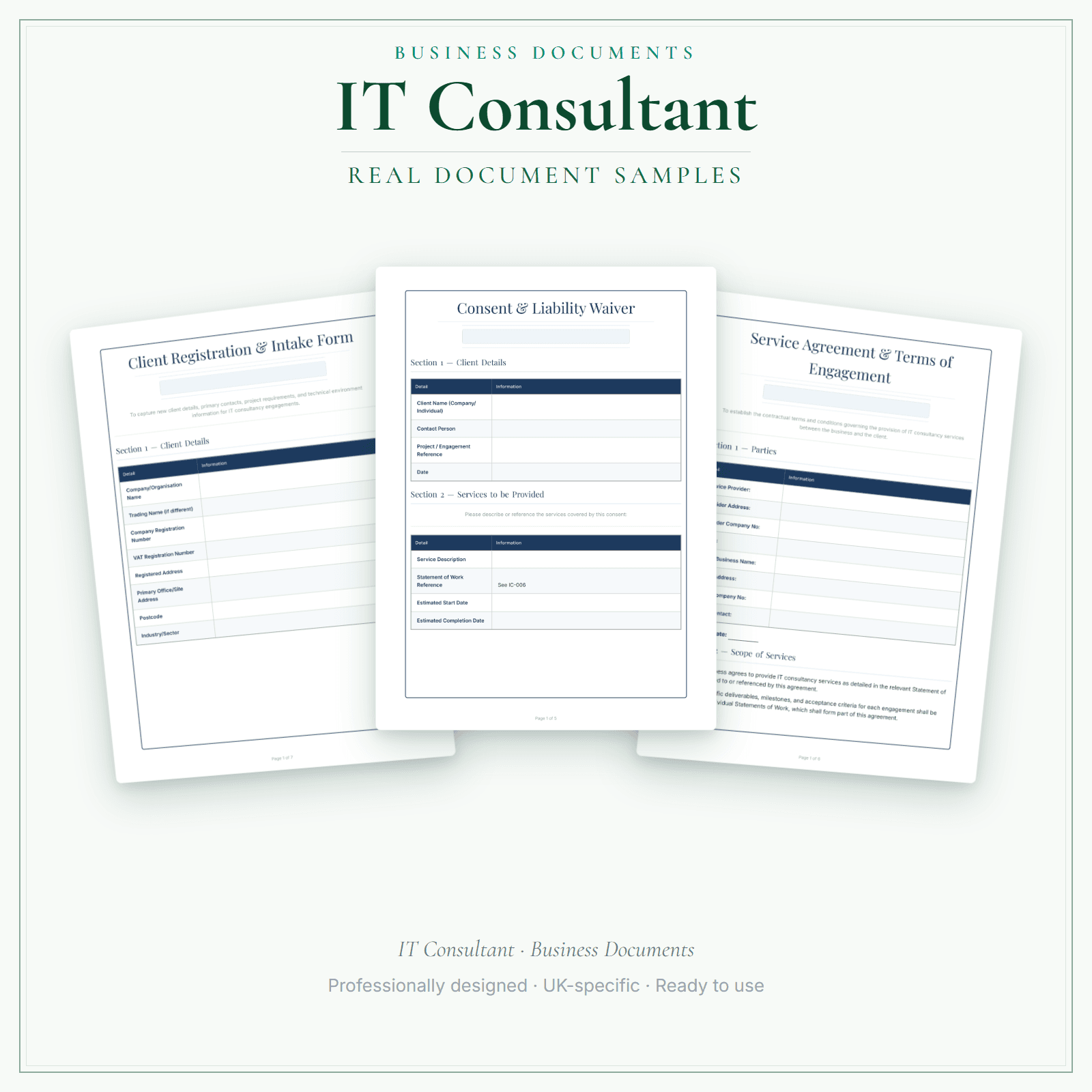 IT Consultant — Business Documents — Premium sample pages preview