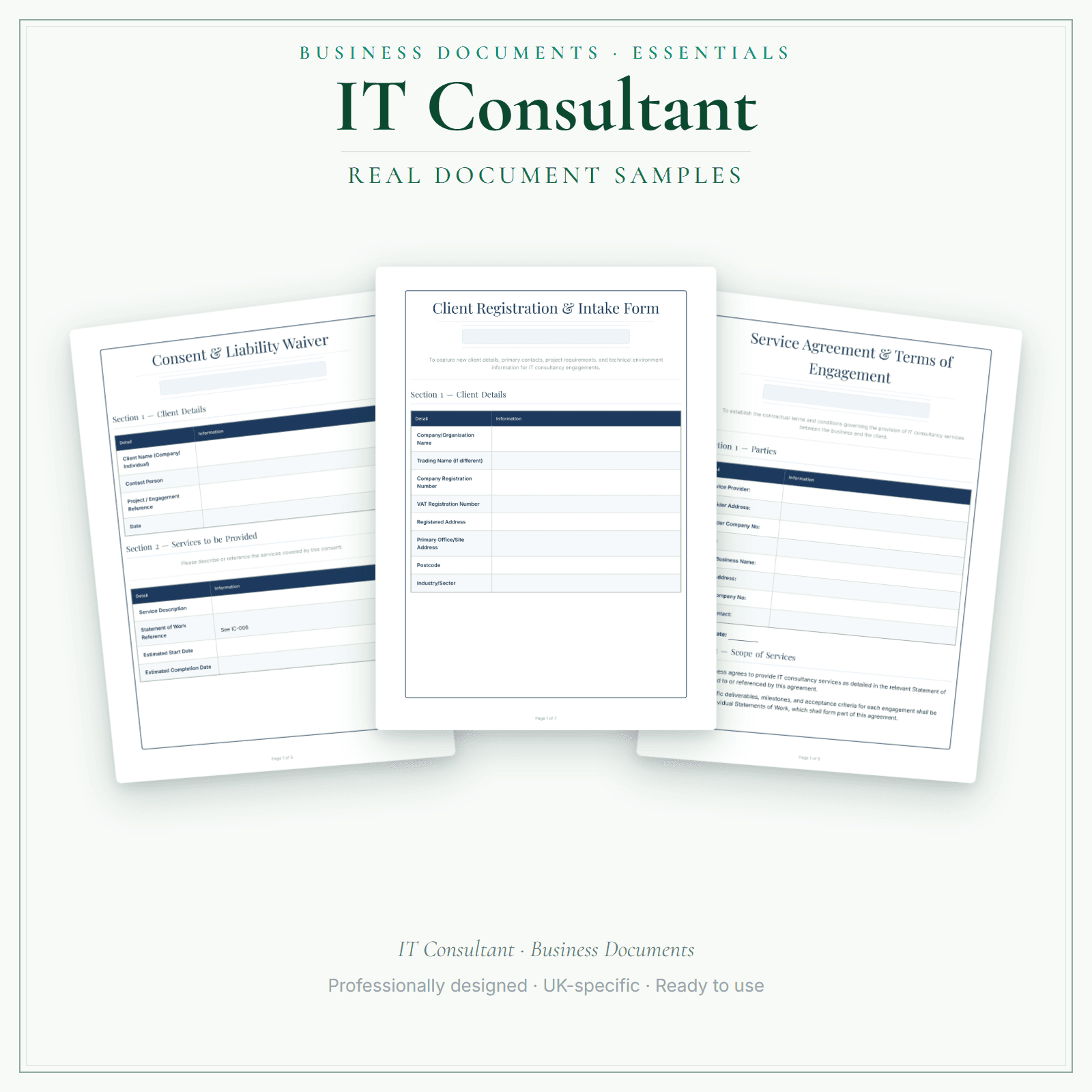 IT Consultant — Business Documents — Essential sample pages preview