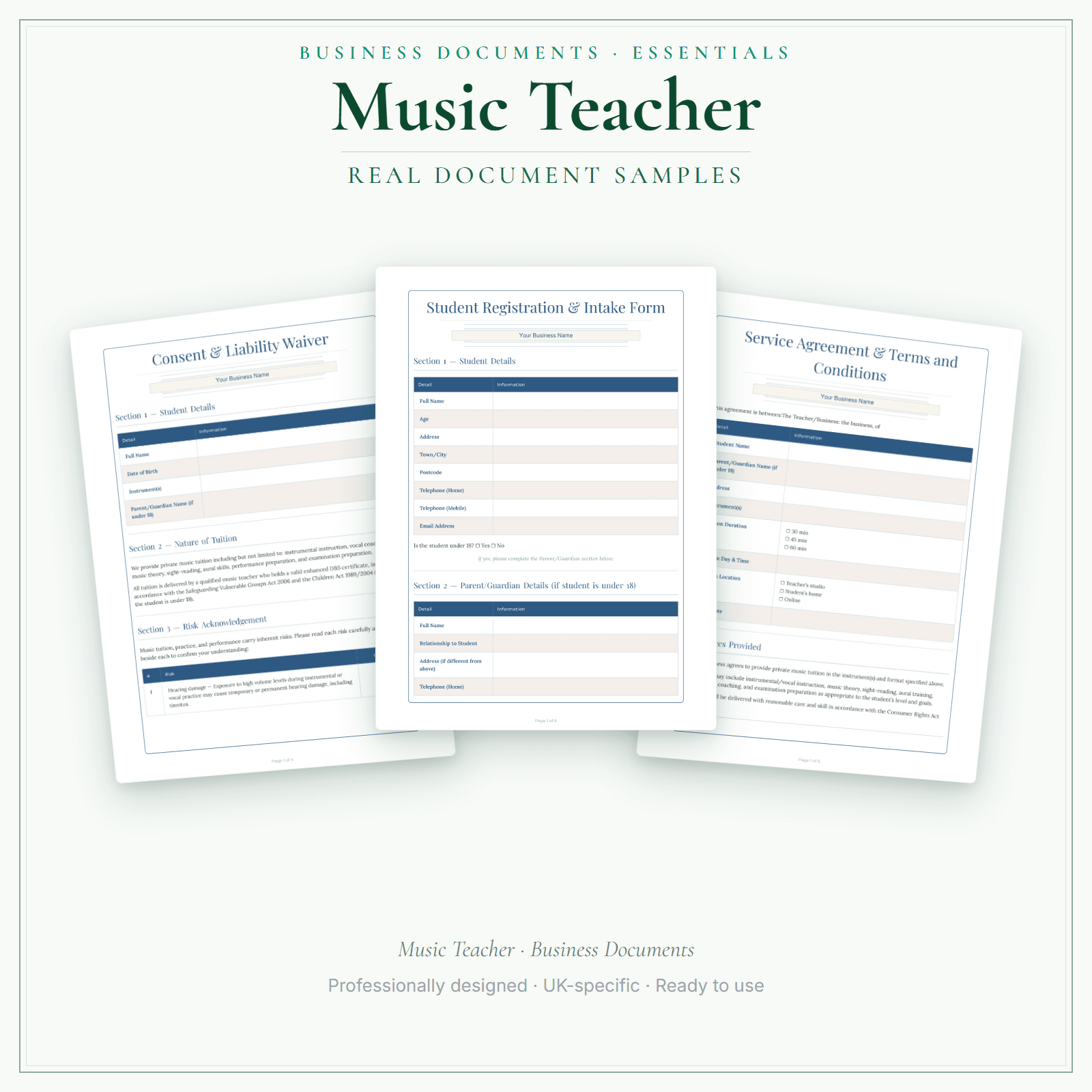 Music Teacher — Business Documents — Essential sample pages preview