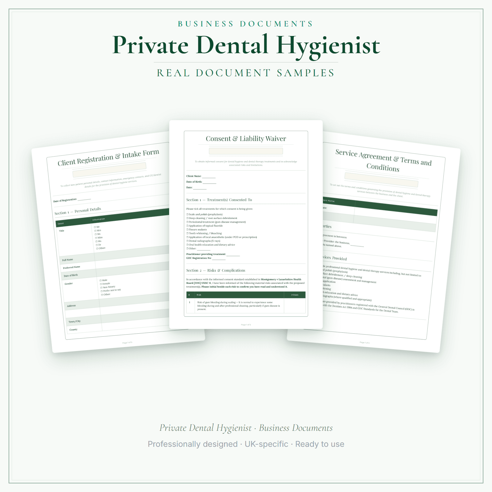 Private Dental Hygienist — Business Documents — Premium sample pages preview