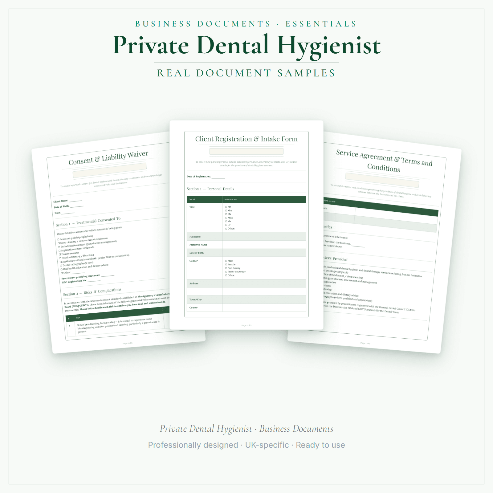 Private Dental Hygienist — Business Documents — Essential sample pages preview