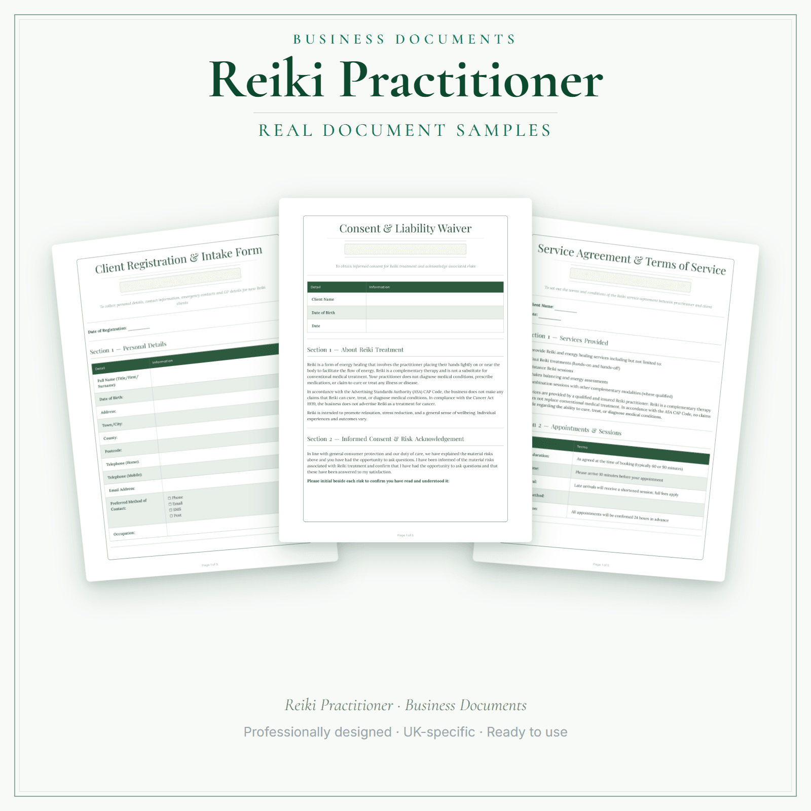 Reiki Practitioner — Business Documents — Premium sample pages preview