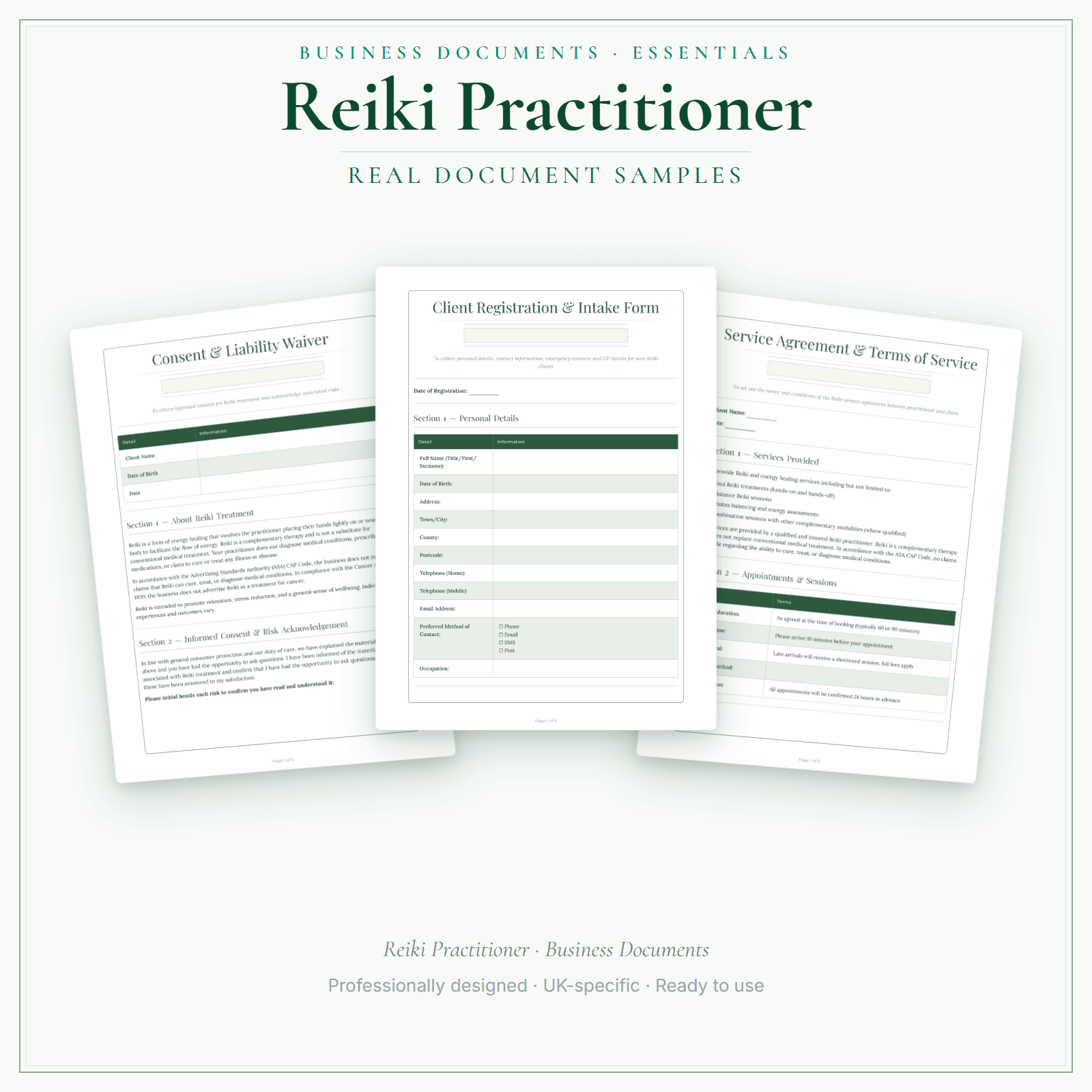 Reiki Practitioner — Business Documents — Essential sample pages preview
